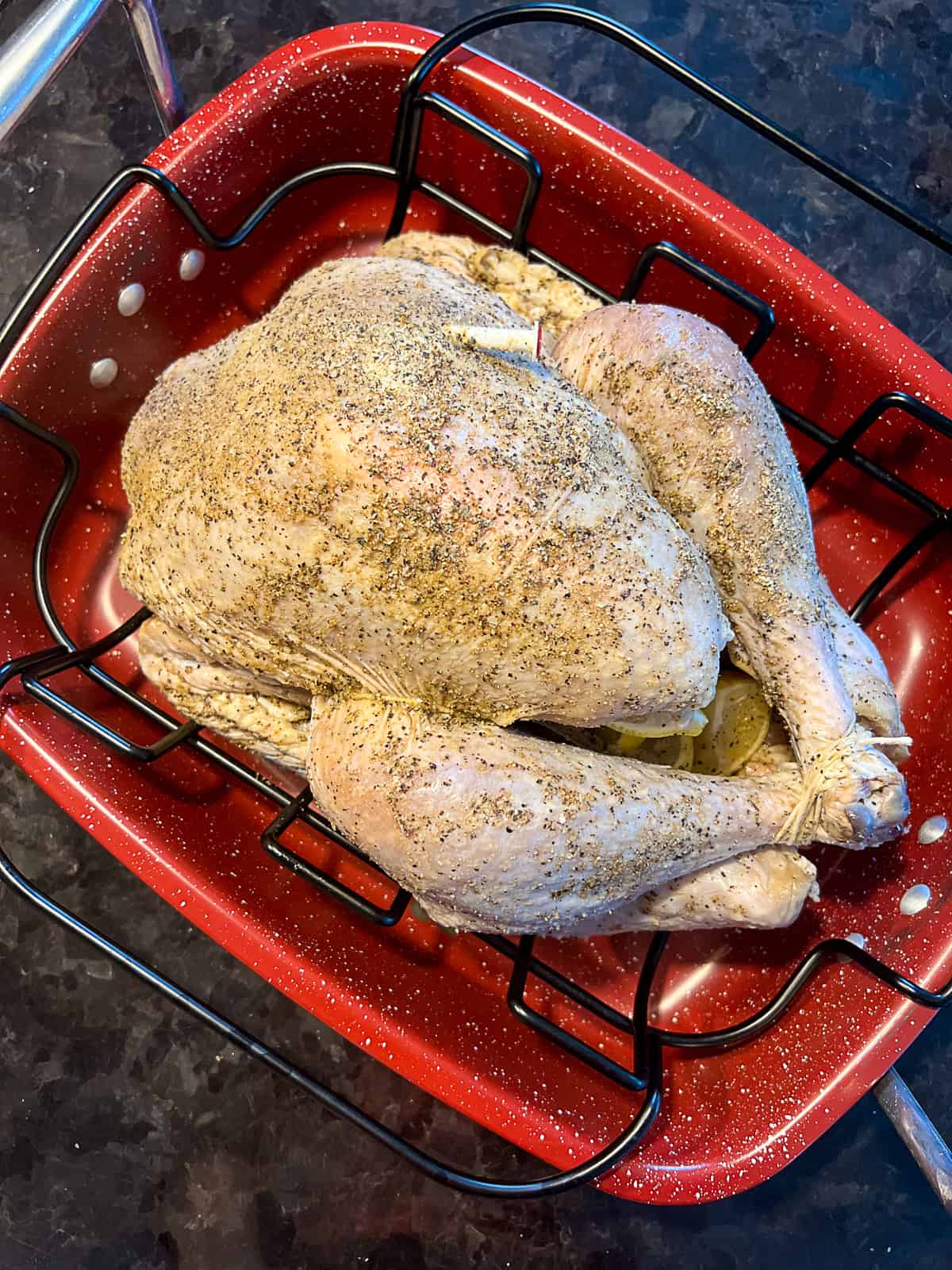 Seasoned Turkey In a Roasting Pan Rack