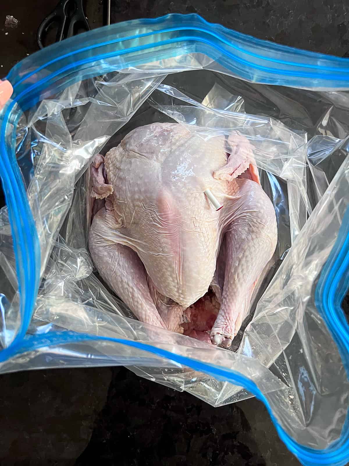 Whole Turkey Inside Turkey Brining Bag