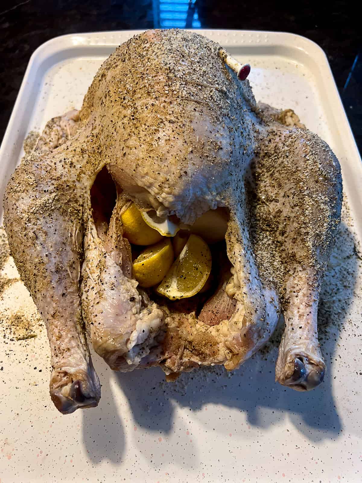 Whole Turkey Stuffed with onion and lemon on a roasting tray