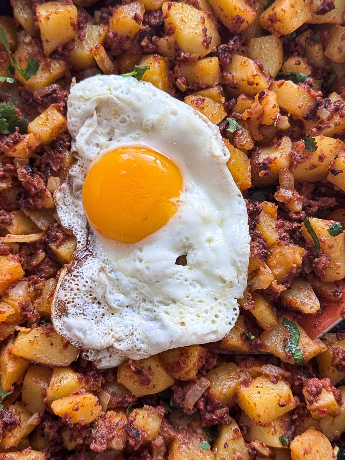 Closeup of sunny side up Egg with Chorizo and Potatoes