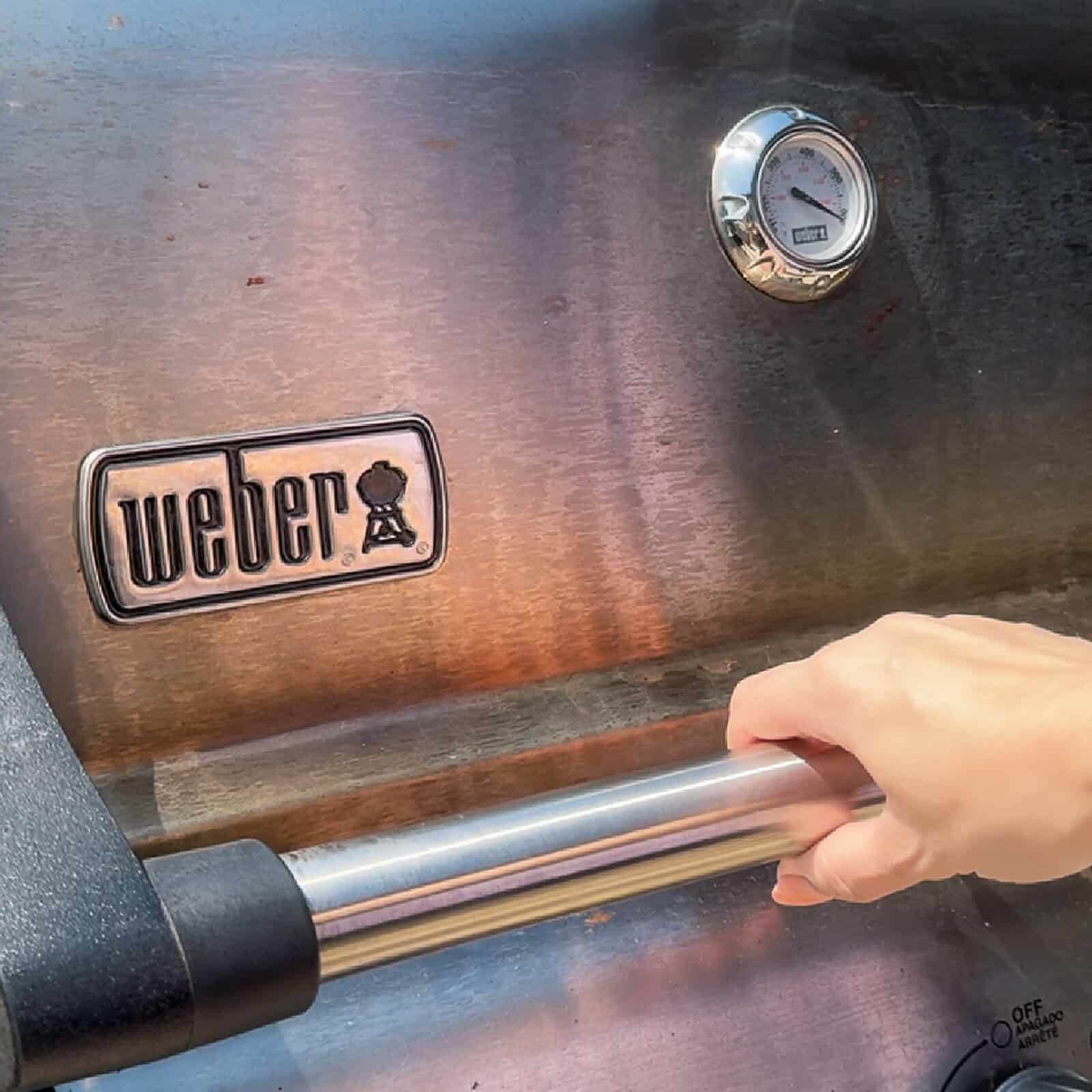 Weber Gas Grill