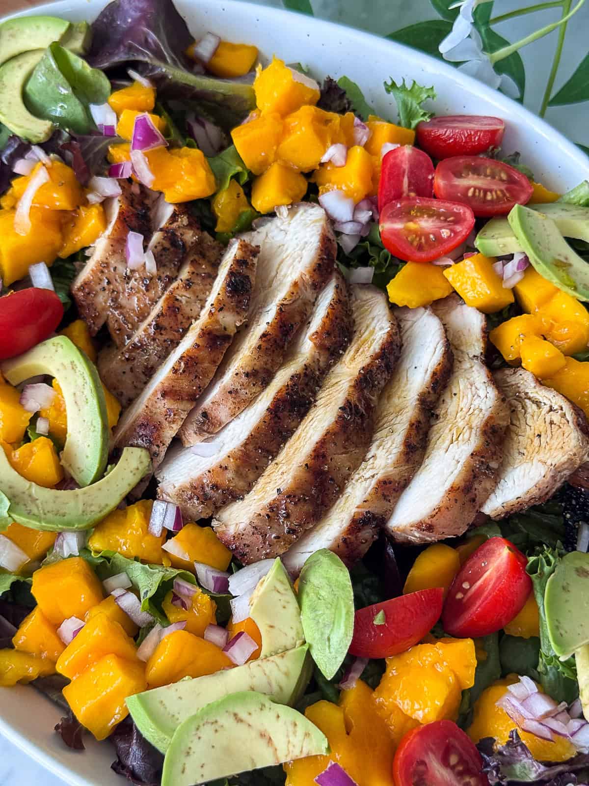Dinner-sized serving of grilled chicken and mango salad
