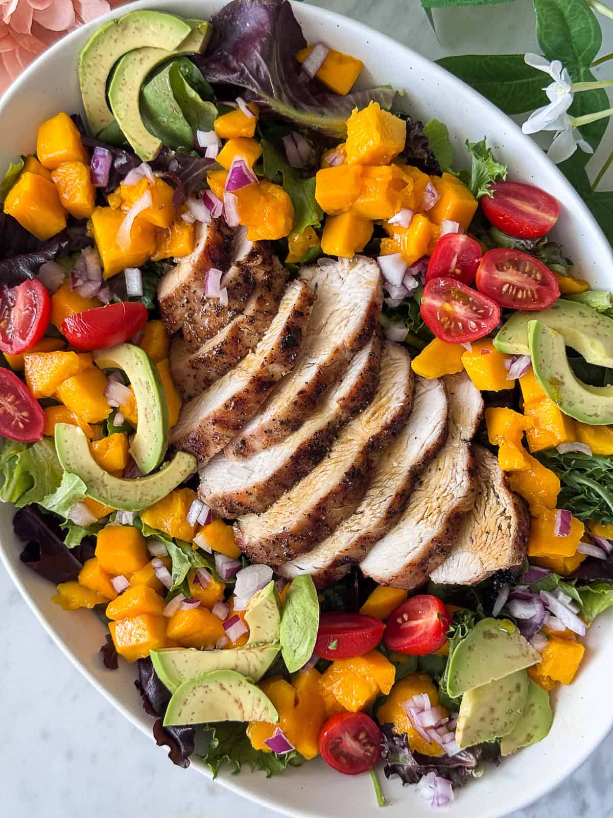 Grilled chicken and mango salad perfect for summer meals