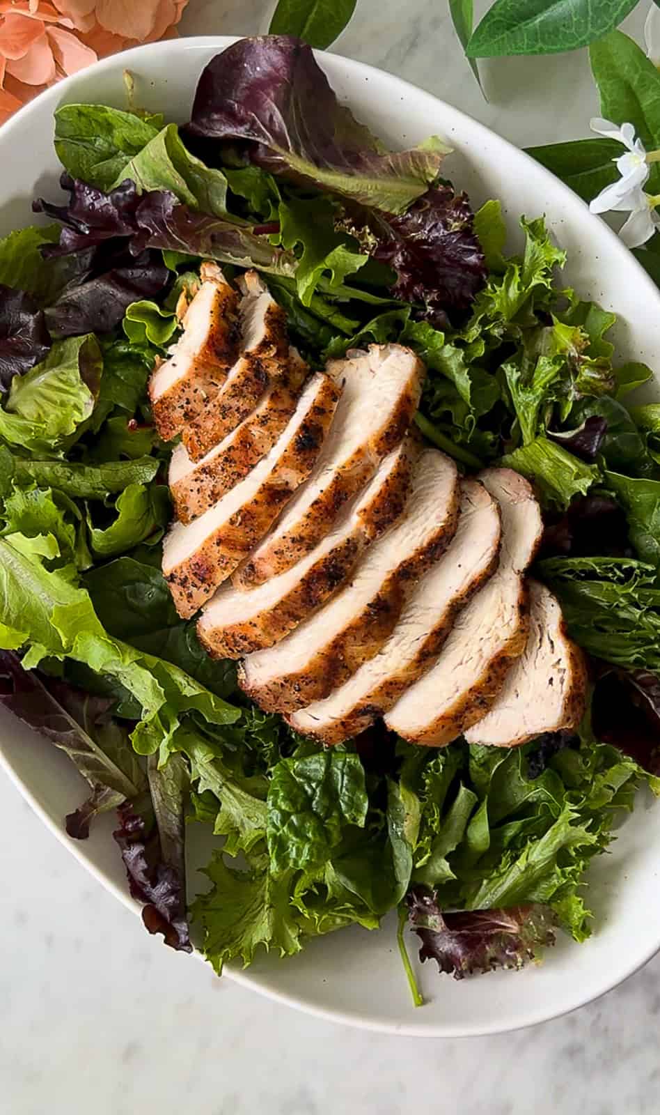 Sliced chicken on salad greens
