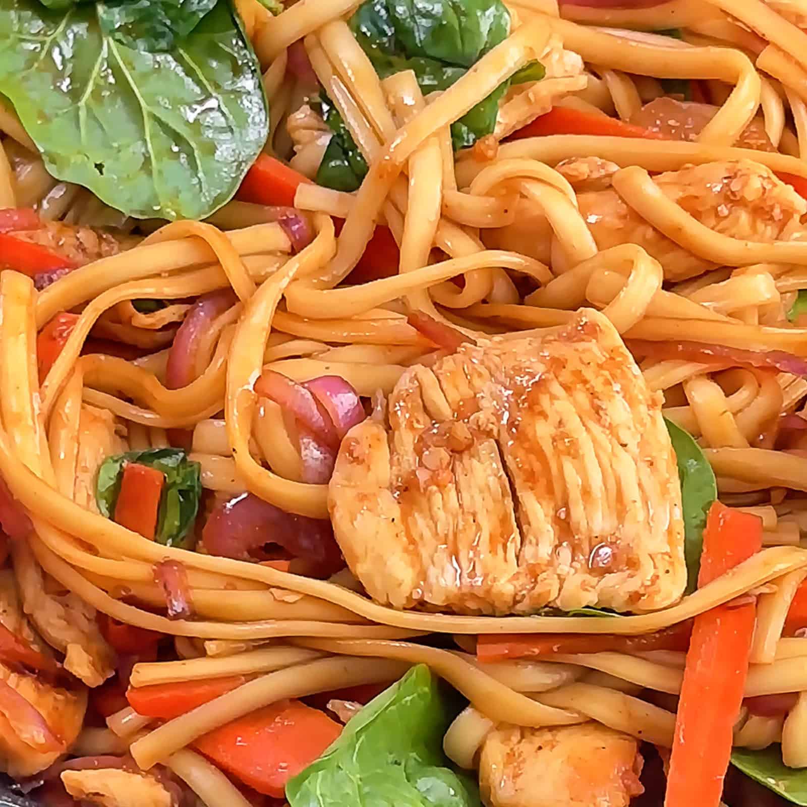 Chicken noodle stir fry tossed with fresh spinach