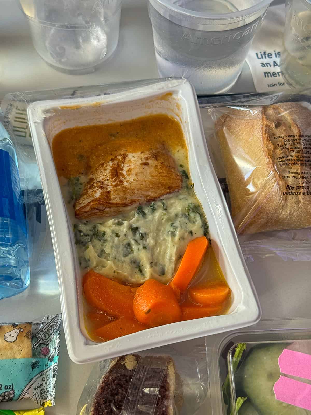 Meal served on airplane tray
