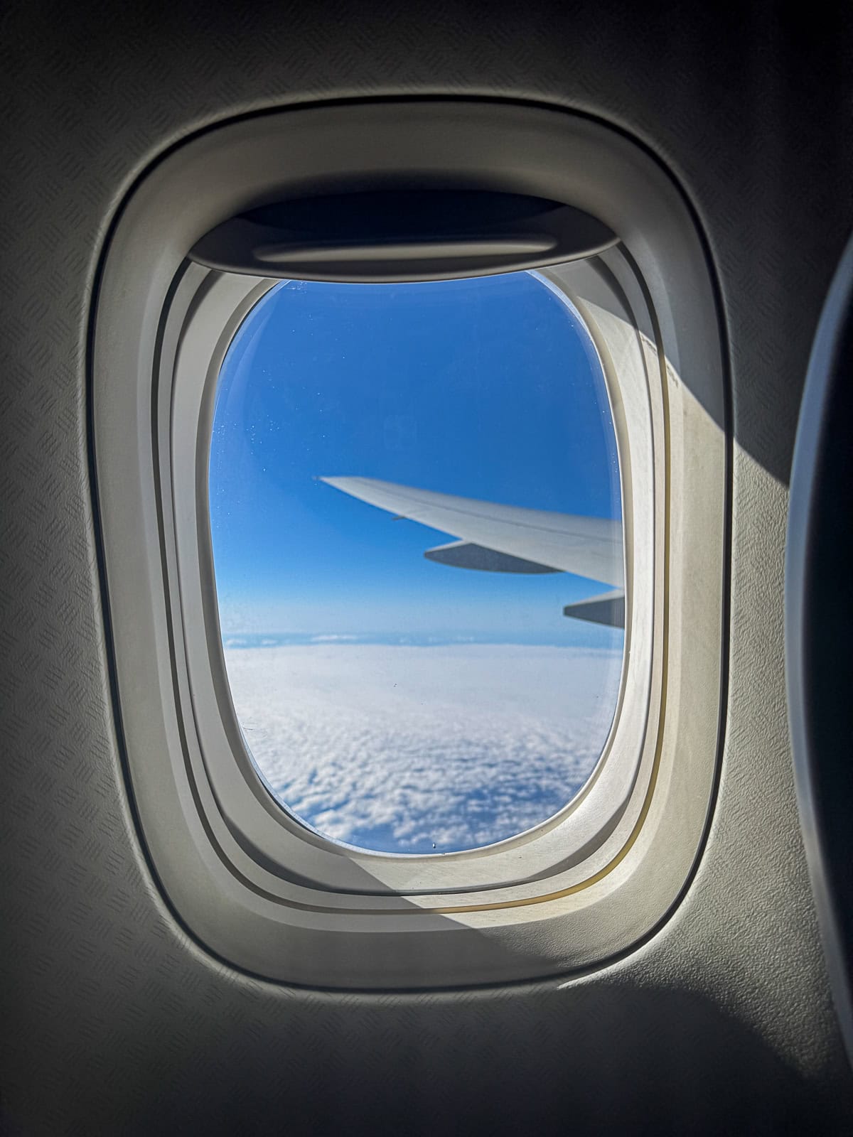 View from airplane window showing wing and blue sky